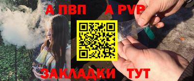 кокс Кингисепп