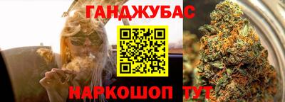 кокс Кингисепп