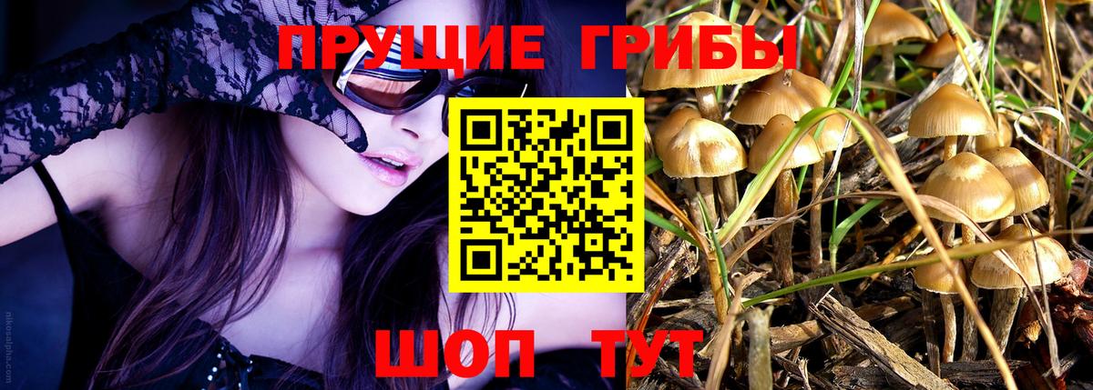Галлюциногенные грибы ЛСД Кудымкар